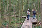 Holzbohlenweg dur den Nationalpark