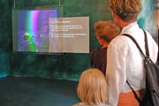 Multimedia in der Ausstellung Darßer Arche